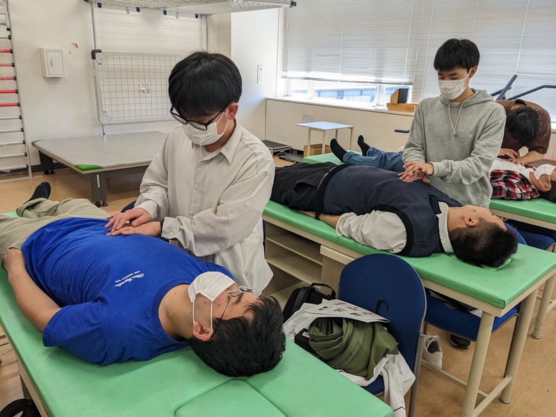筋・骨格系解剖学実習